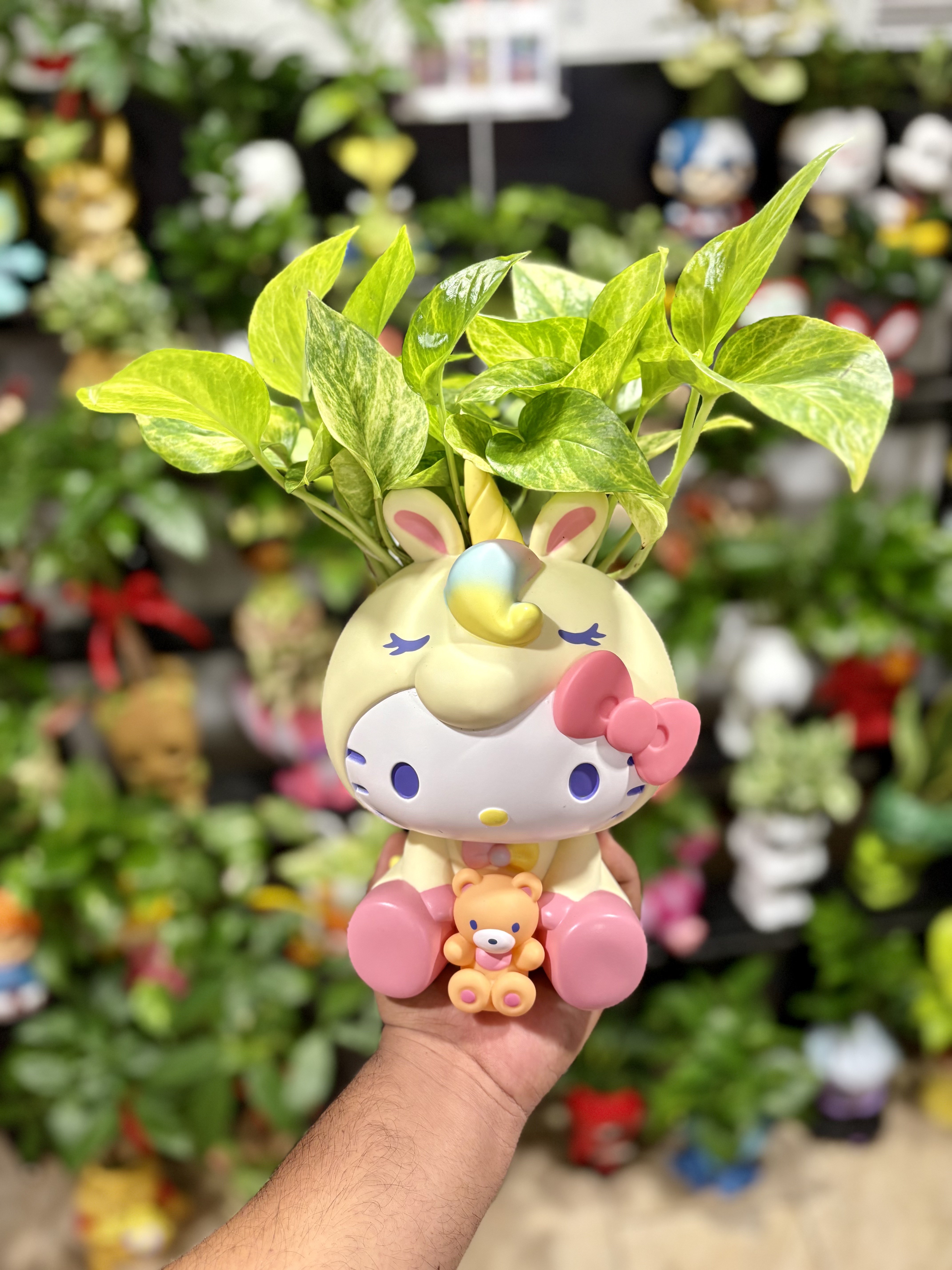 Hello Kitty Plant (Style 2) – Hello Kitty Character Planter