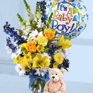 Baby Boy Congrats Package