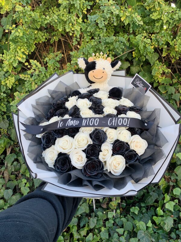 Cow Bouquet - 50 Black & White Roses